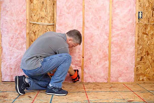 Best Cellulose Insulation in Stuarts Draft, VA