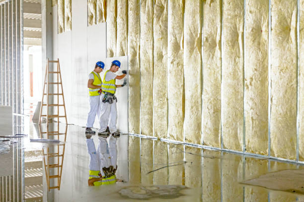 Best Geographic-Specific Insulation Services in Stuarts Draft, VA